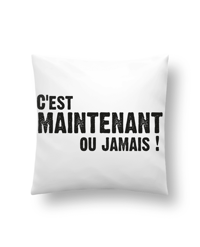 Coussin C'EST MAINTENANT OU JAMAIS ! par berth99