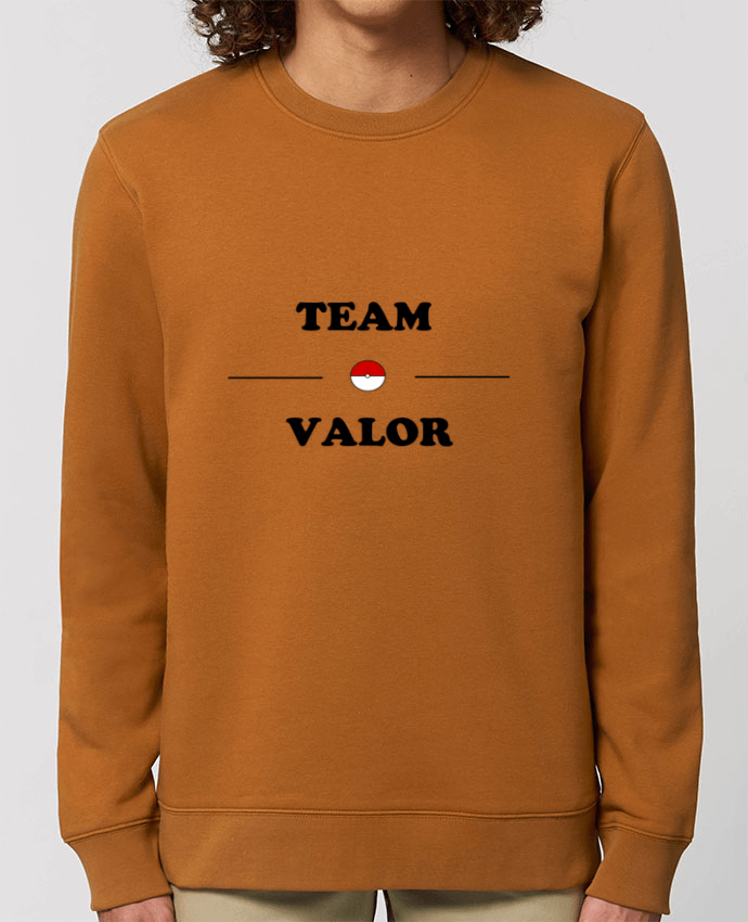Sweat-shirt Team Valor Pokemon Par Lupercal