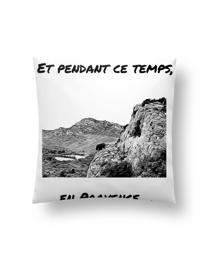 Coussin Et pendant ce temps en Provence - Les Alpilles par Seb337413