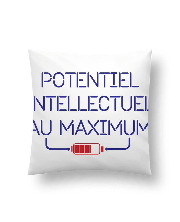 Cushion synthetic soft 45 x 45 cm Potentiel Intellectuel au Maximum by tunetoo