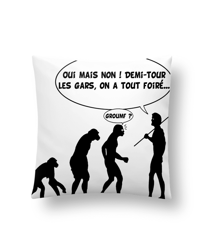 Coussin évolution radioactive par LAGUENY