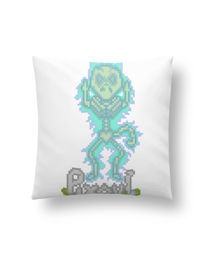Coussin PIXOUL par Santiaguen
