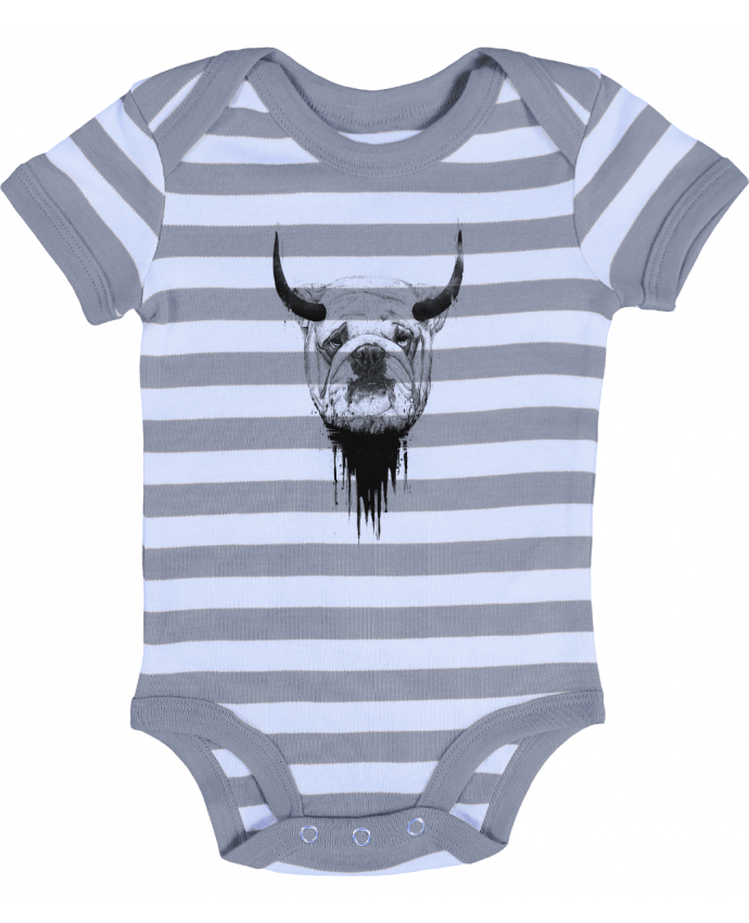 Baby Body striped Bulldog - Balàzs Solti