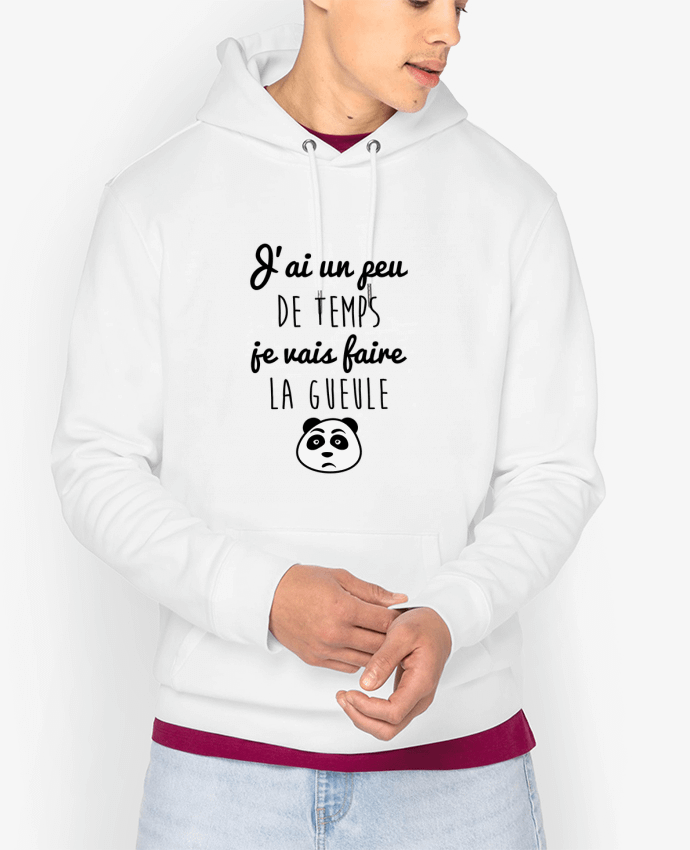 Hoodie J'ai un peu de temps je vais faire la gueule Par Benichan