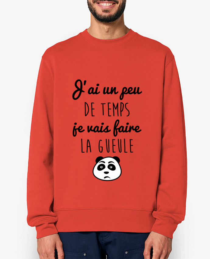 Sweat-shirt J'ai un peu de temps je vais faire la gueule Par Benichan