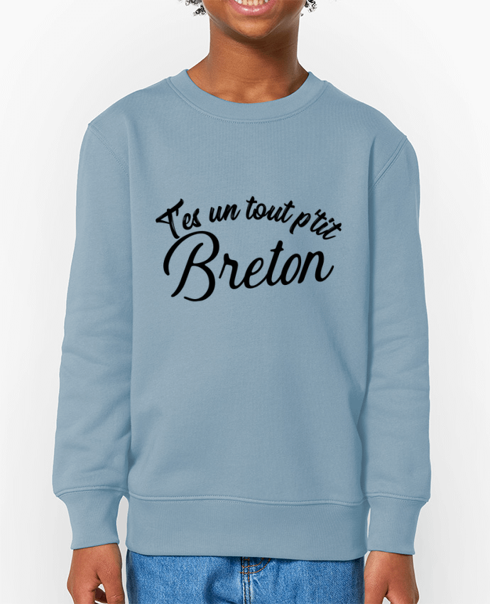 Sweat-shirt enfant P'tit breton cadeau Par  Original t-shirt