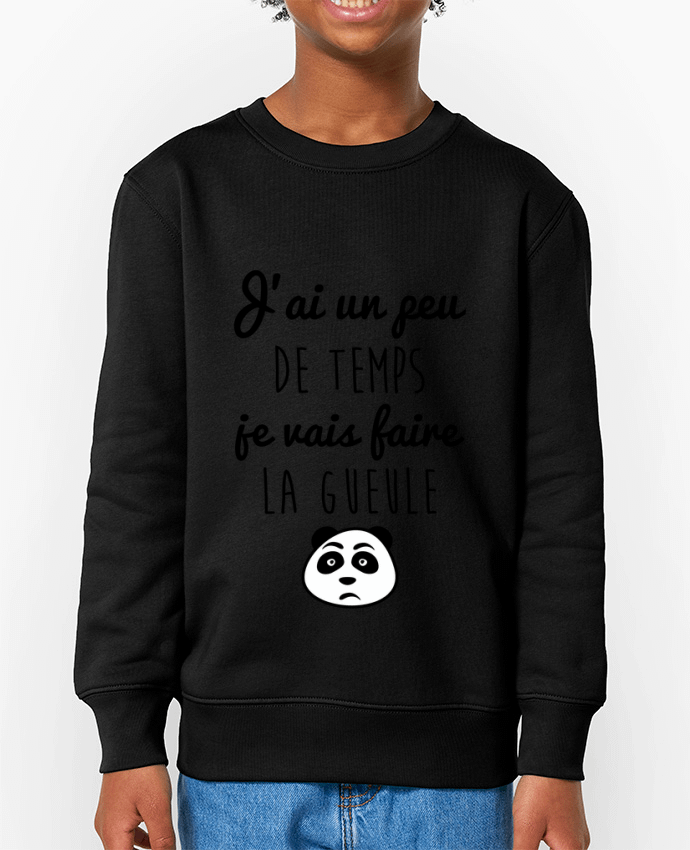 Sweat-shirt enfant J'ai un peu de temps je vais faire la gueule Par  Benichan