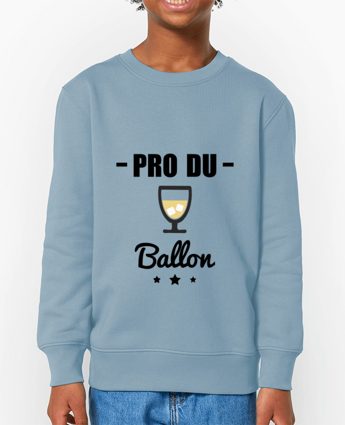 Sweat-shirt enfant Pro du ballon Pastis Par  Benichan