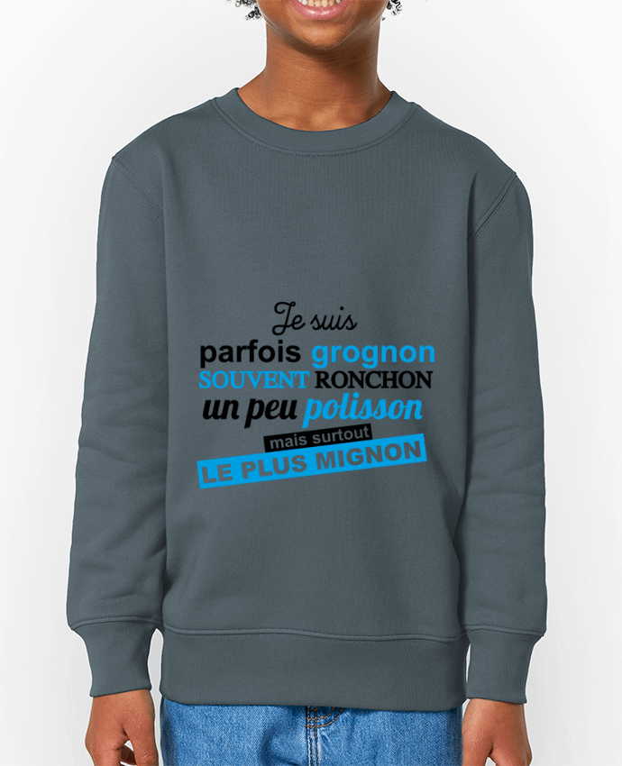 Sweat-shirt enfant Grognon ronchon polisson mignon Par  GraphiCK-Kids