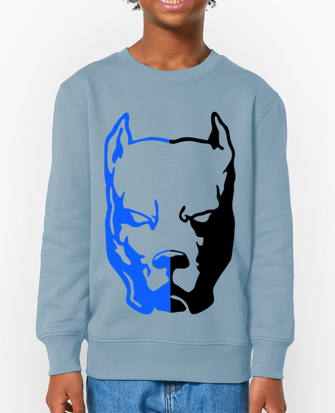 Sweat-shirt enfant pitbull 2 colores Par  Ferreirp