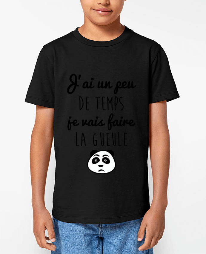 T-shirt Enfant J'ai un peu de temps je vais faire la gueule Par Benichan