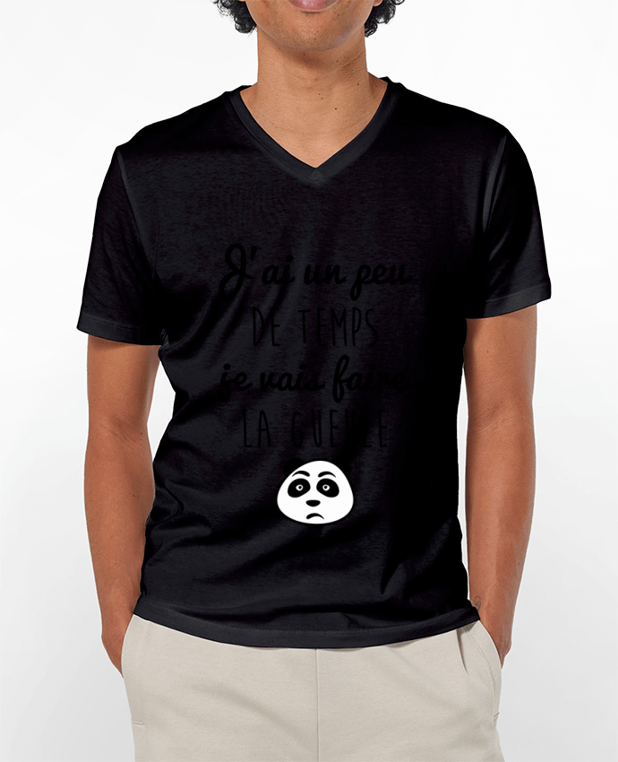 T-shirt homme J'ai un peu de temps je vais faire la gueule par Benichan