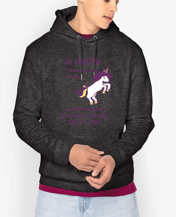 Hoodie Je cherche un prince charmant et une licorne Par Benichan