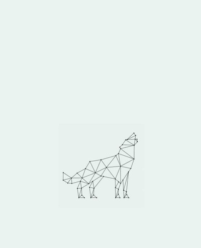 Tote-bag wolf - geometry par /wait-design