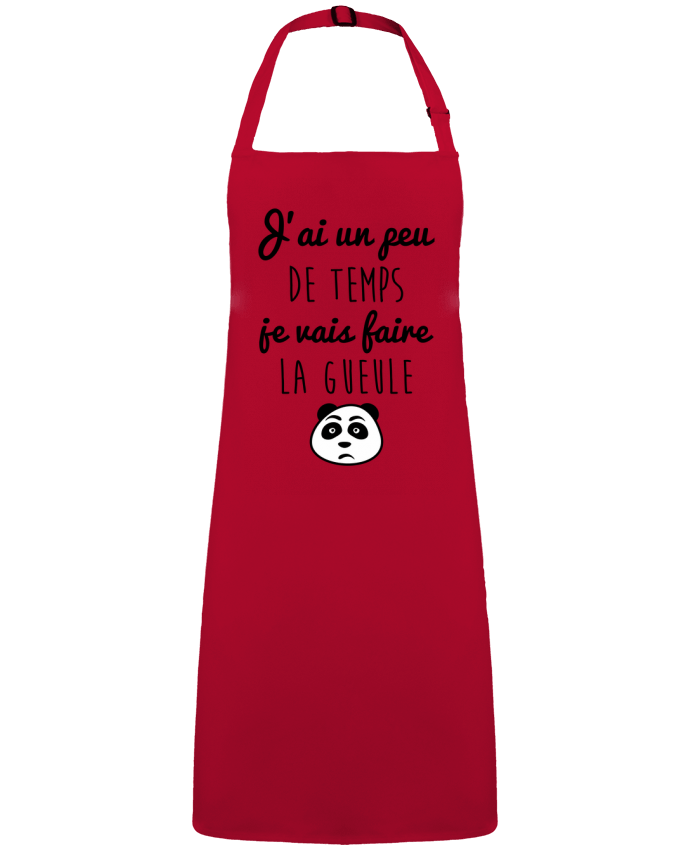 Tablier J'ai un peu de temps je vais faire la gueule par  Benichan