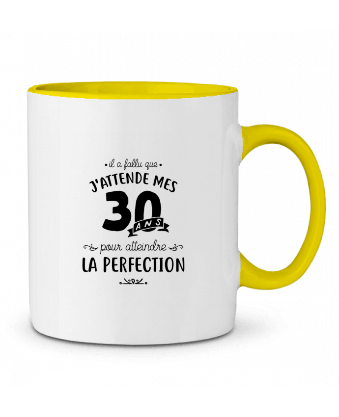 Mug bicolore 30 ans la perfection cadeau Original t-shirt