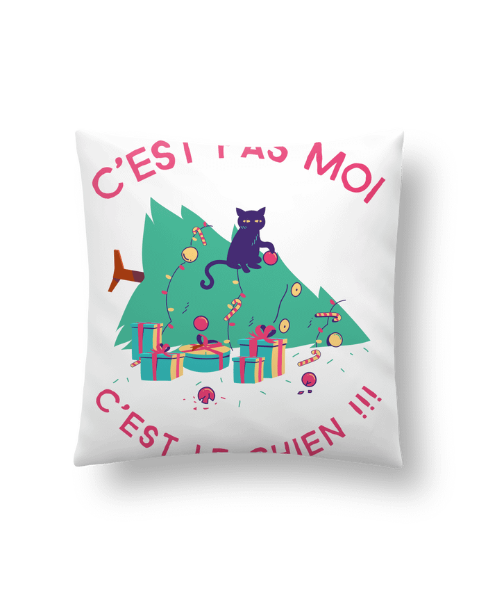 Cushion synthetic soft 45 x 45 cm Humour de chat by SANDRA-WEB-DESIGN.CH