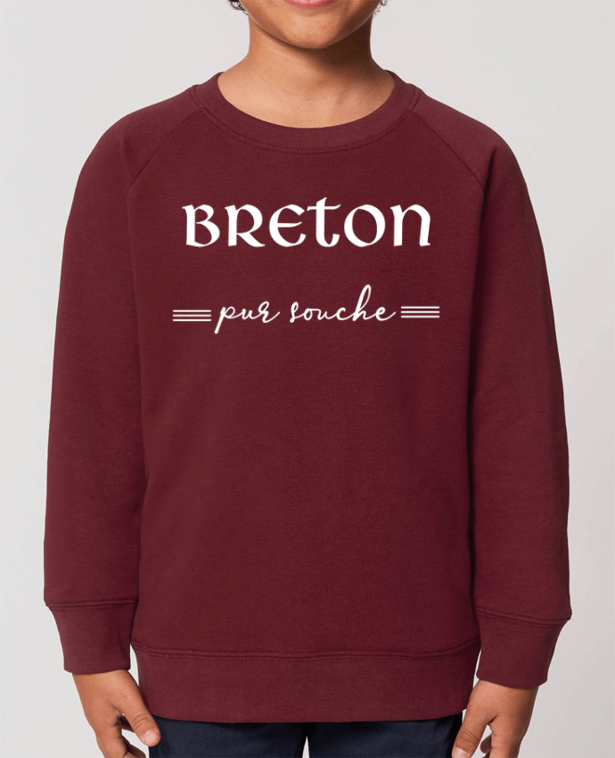 Sweat-shirt enfant Breton pur souche Par  jorrie