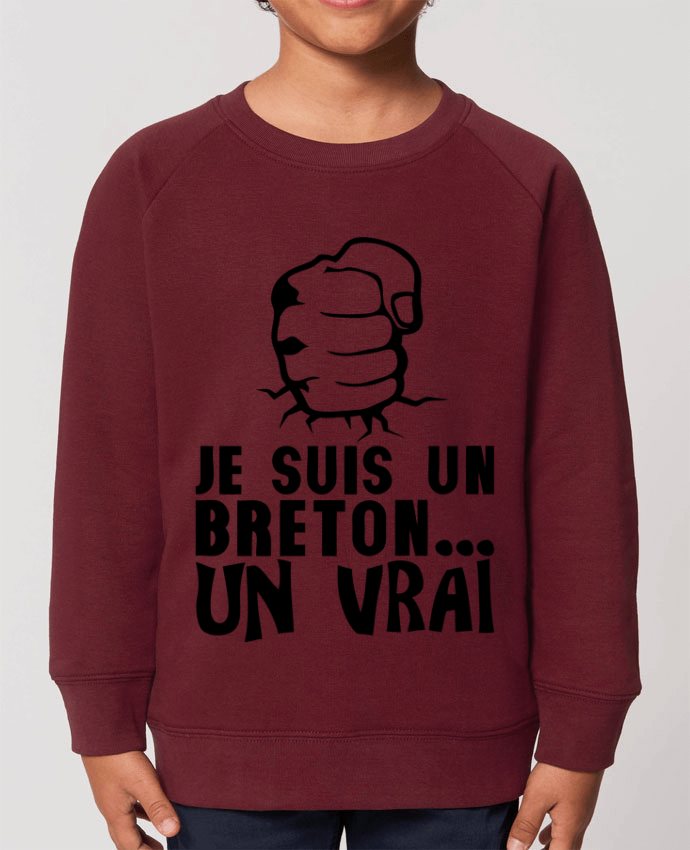 Iconic kids\' crew neck sweatshirt Mini Scouter breton vrai veritable citation humour Par  Achille