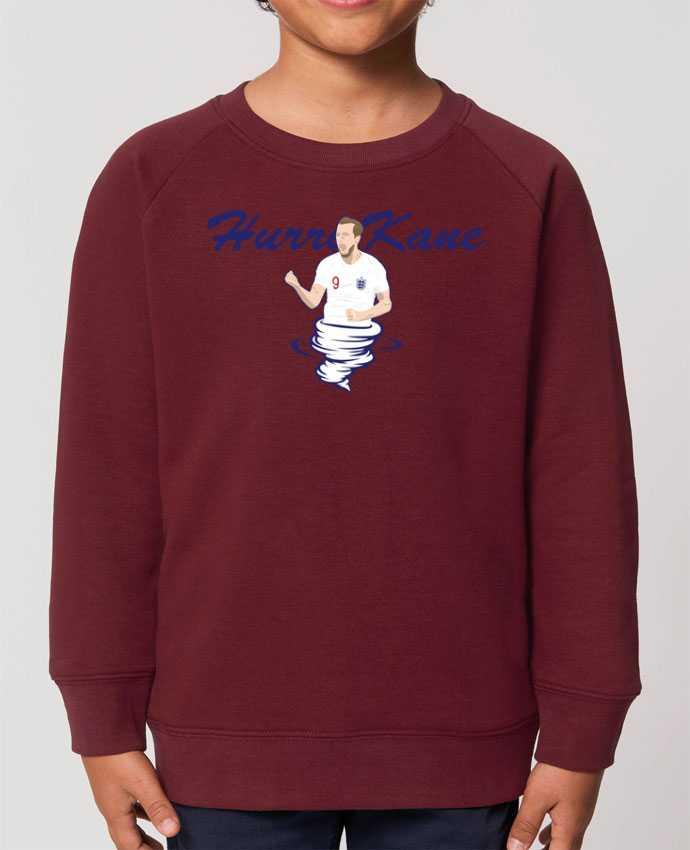 Sweat Enfant Col Rond- Coton - STANLEY MINI SCOUTER Harry Kane Nickname Par  tunetoo