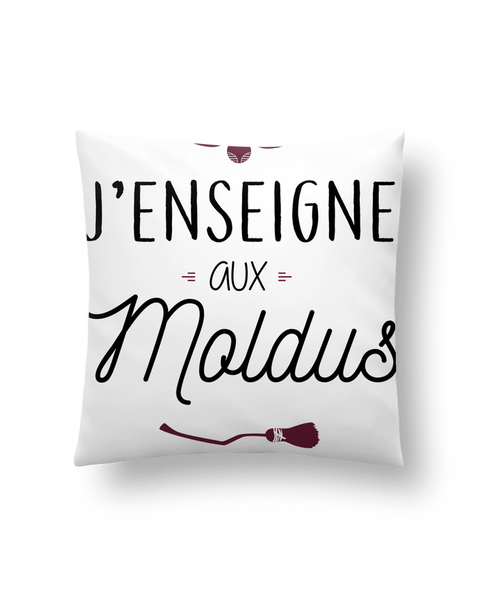 Coussin J'enseigne aux Moldus par La boutique de Laura