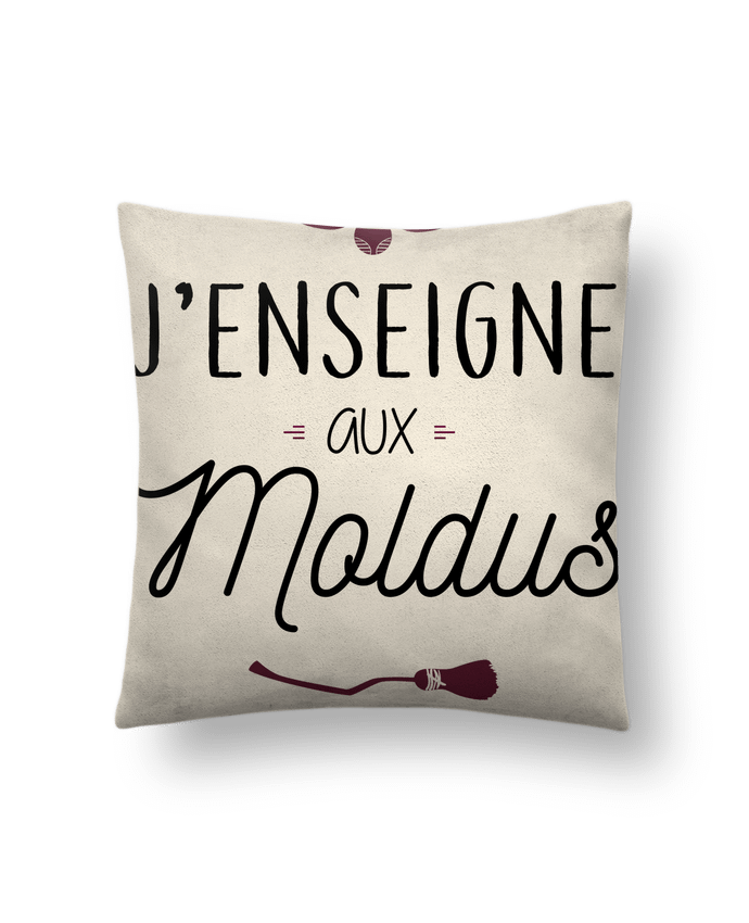 Coussin suédine J'enseigne aux Moldus par La boutique de Laura