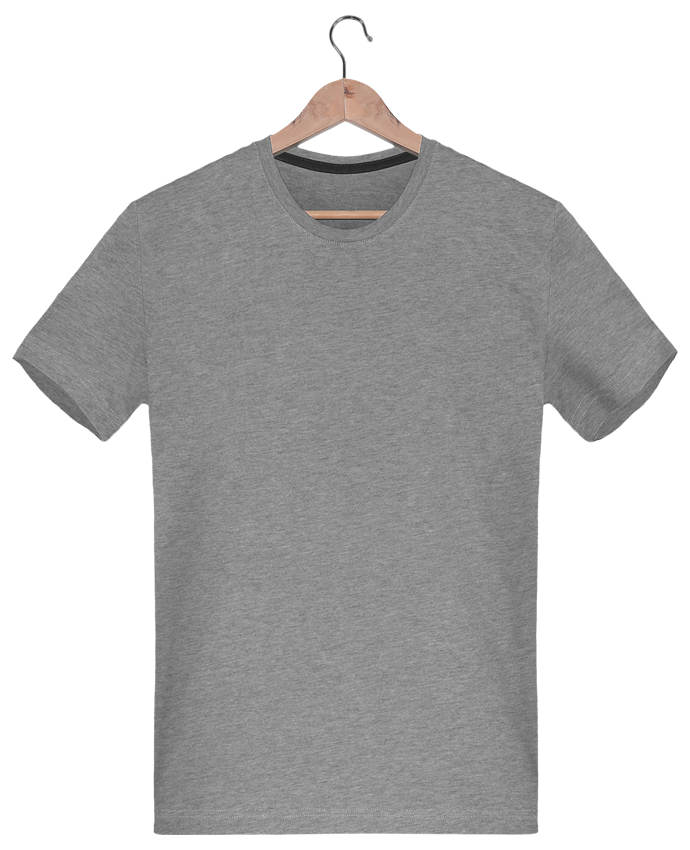 T-shirt gris Caméléon bleu Tunetoo